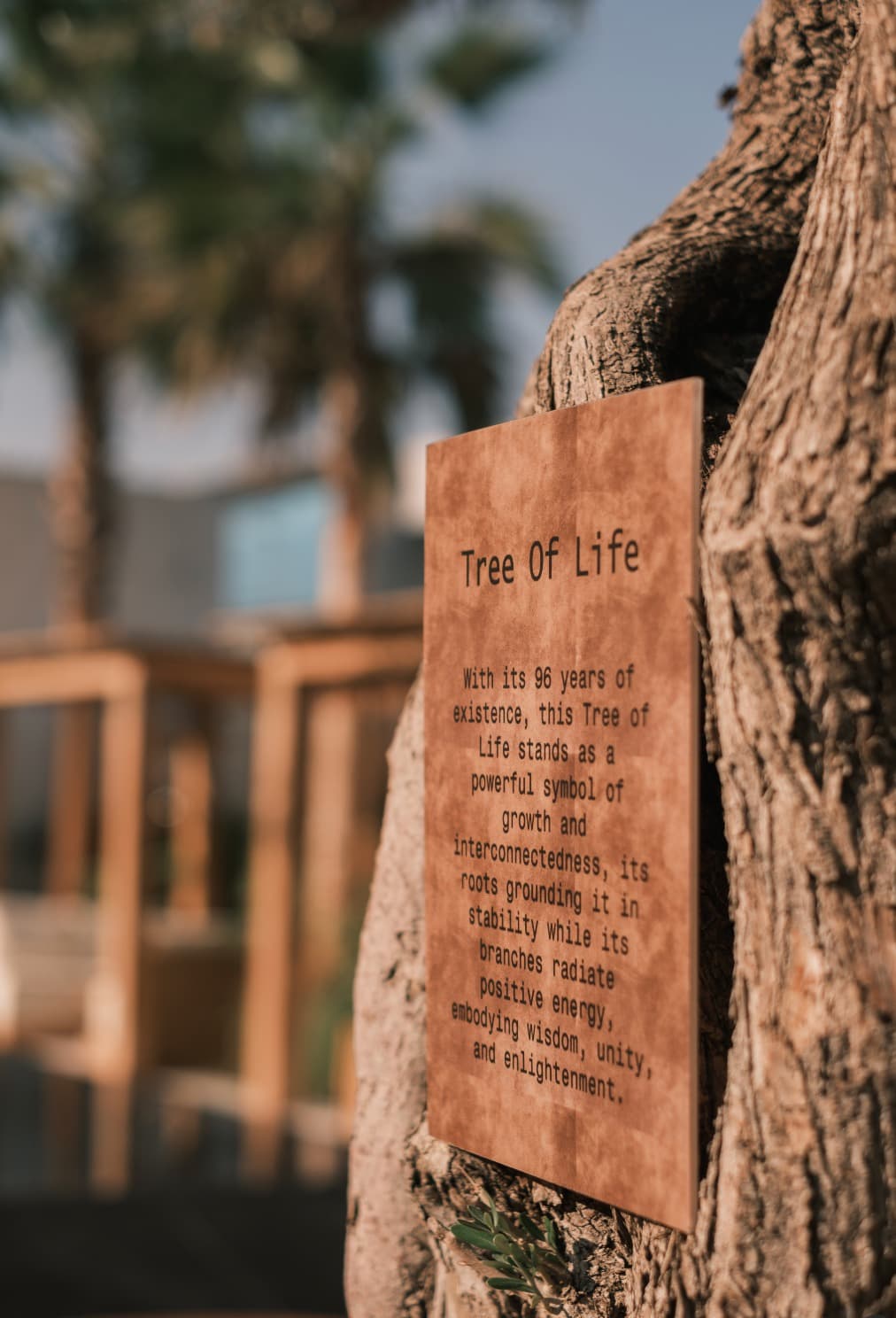 Tree of Life sign on tree trunk