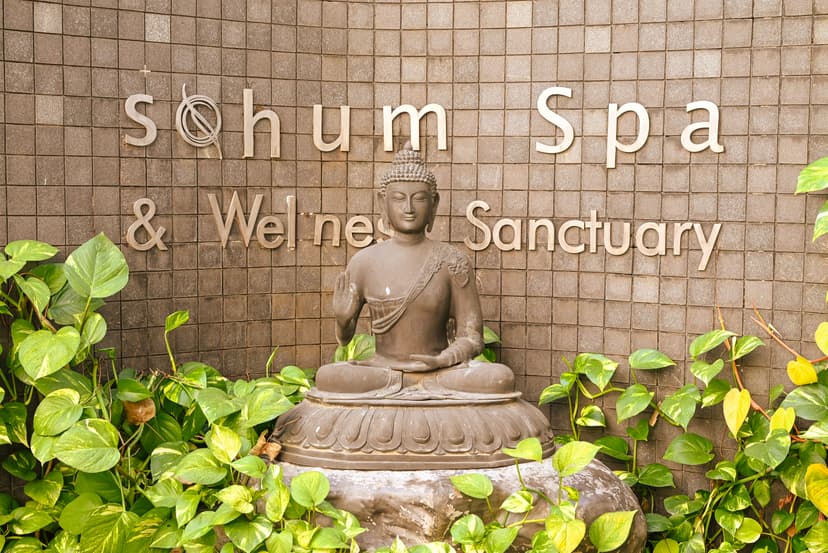 Ayurvedic Practitioner
