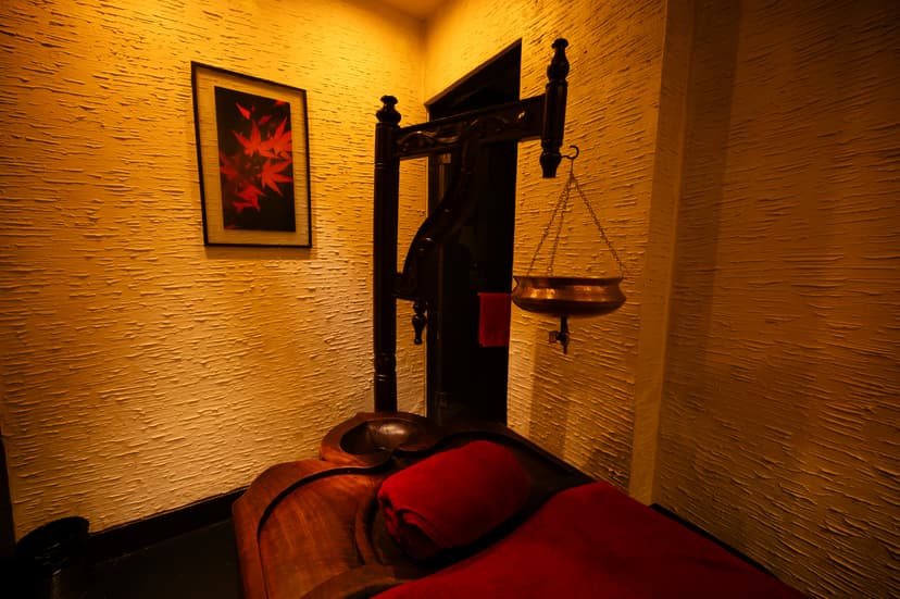 Ayurvedic Massage Therapist